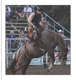 Donley continues family rodeo tradition | Ellsworth County Independent ...