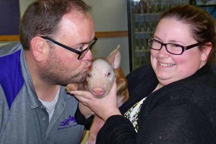 Kiss a Pig