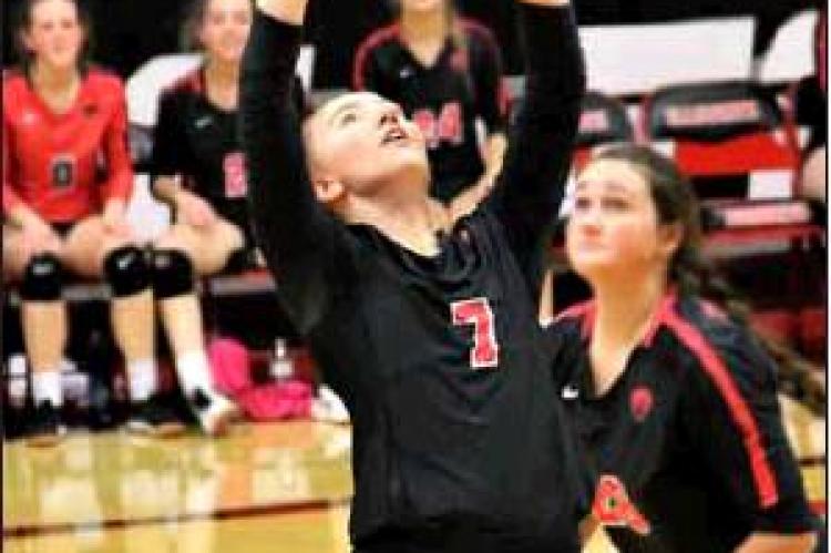 Lady ‘Cats receive post season recognition