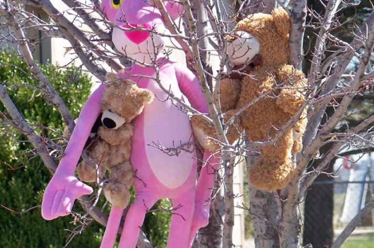 BEAR BUDDIES PLUS ONE
