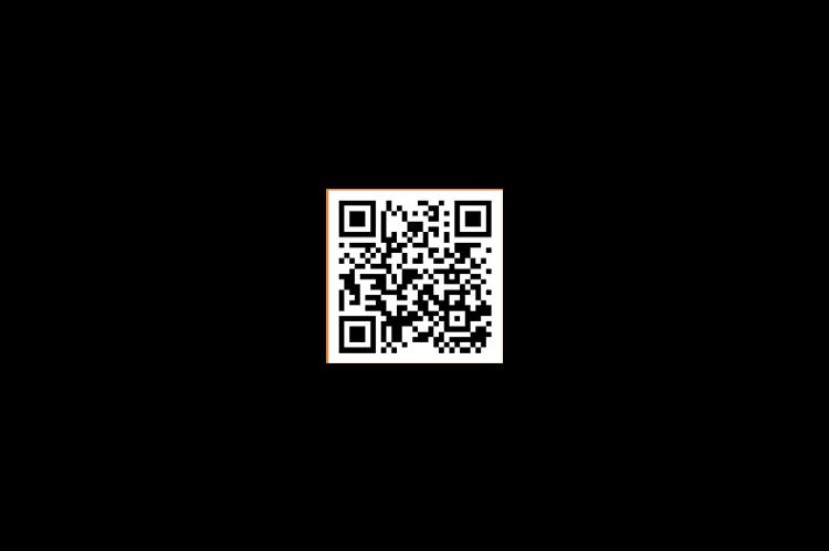 Alt Text for Image
