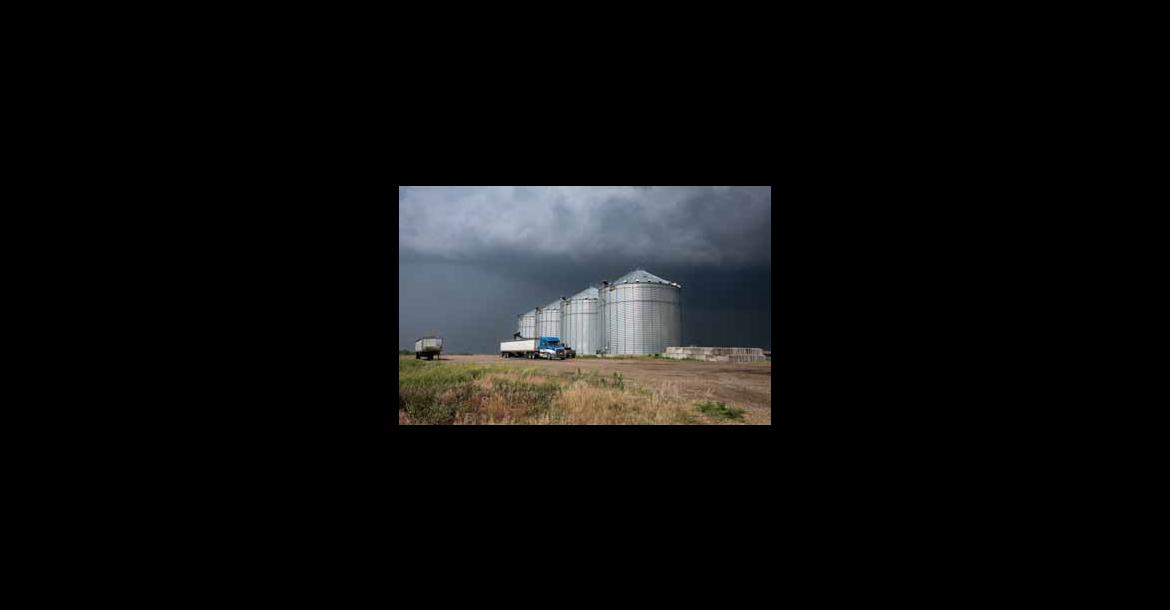 A farmer loads sunflower seeds after a severe thunderstorm recently passed through rural Ottawa County May 18.