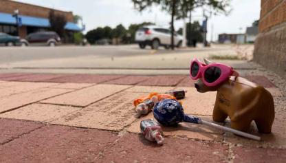 One of 20 miniature cows strolls the streets downtown, as part of the Cowtown Scavenger Hunt. The hunt, coordinated by the Ellsworth Co-op, concludes Friday. Courtesy photo