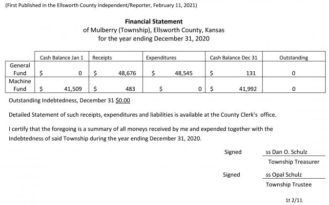Article Image Alt Text