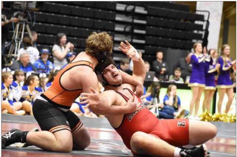 Two Ellsworth grapplers place at state competition