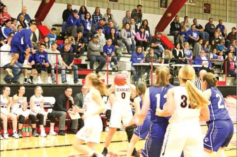 Lady ‘Cats pounce on Lyons in Game 1