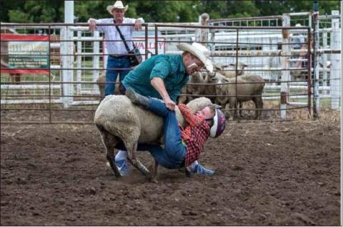 Article Image Alt Text